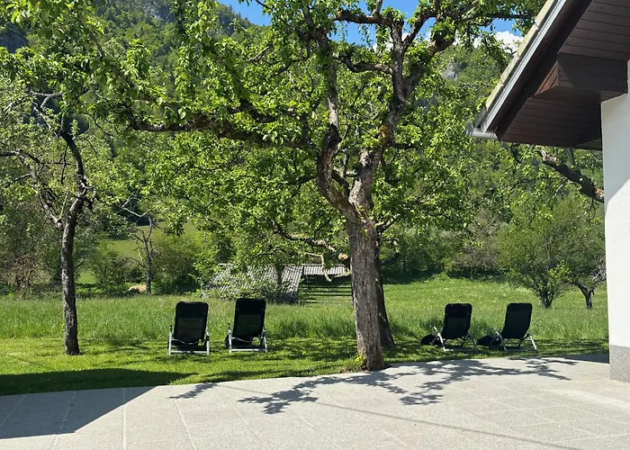 Jack's Appartement Bled